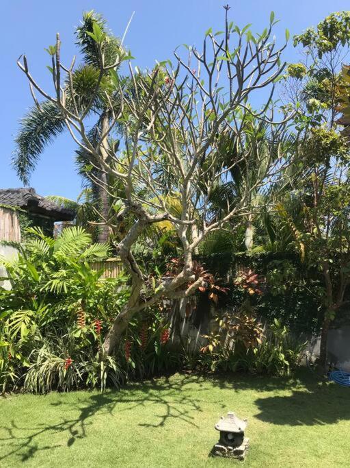 Desa Naga Villa Canggu  Luaran gambar